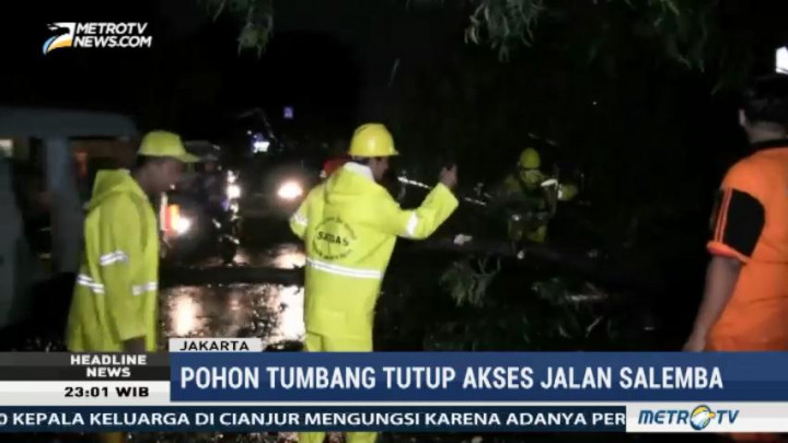 Hujan dan Angin Kencang Tumbangkan Pohon Besar di Salemba