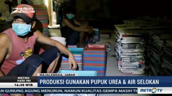 Pabrik Nata de Coco Berbahan Pupuk Urea di Majalengka Kembali Beroperasi