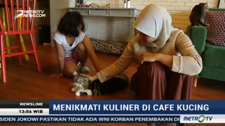 Menikmati Kuliner Sambil Bermain dengan Kucing