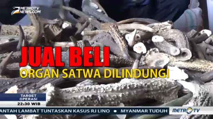 Jual Beli Organ Satwa Dilindungi (1)