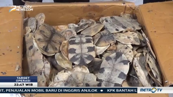 Jual Beli Organ Satwa Dilindungi (2)