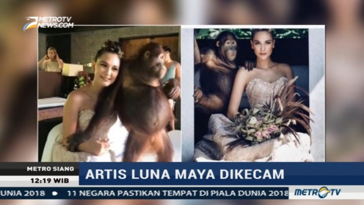 Foto Bersama Orangutan, Luna Maya Dikecam