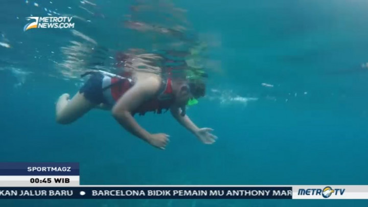 Sensasi Snorkeling Ditemani Hiu