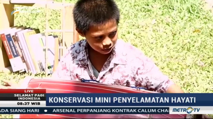Konservasi Mini Penyelamatan Kekayaan Hayati di Rumah Hijau Denassa (2)