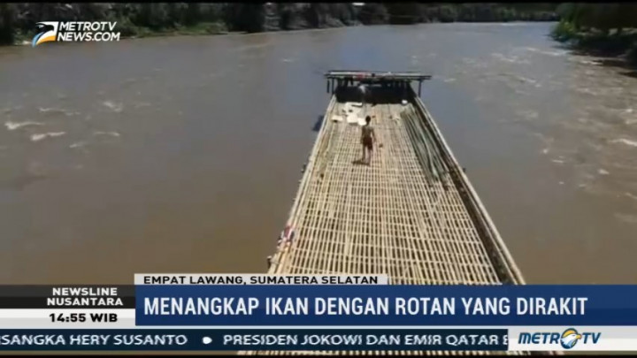 Lumpatan, Tradisi Tangkap Ikan Unik di Empat Lawang