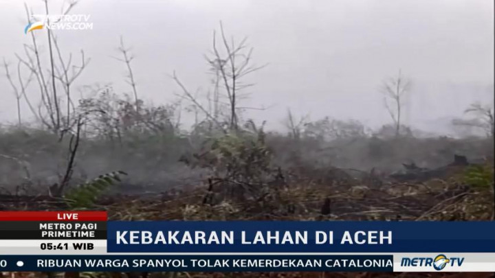 Kebakaran Lahan di Aceh Barat Mulai Padam