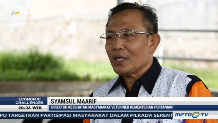 Produksi Susu Sapi Lokal Baru Terserap 24 Persen