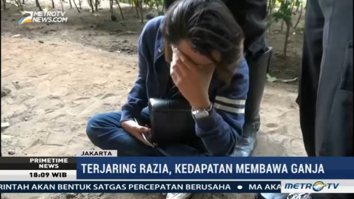 Mahasiswa Kedapatan Bawa Ganja saat Terjaring Operasi Zebra