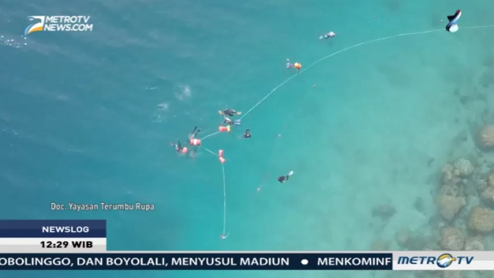 Melestarikan Terumbu Karang dengan Seni Instalasi