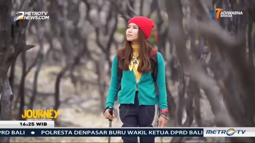 Journey: Glamping & Camping (3)