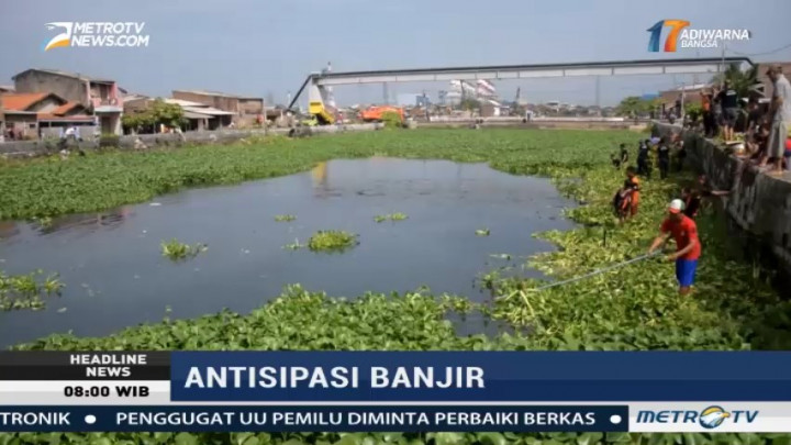 Cegah Banjir, BPBD Semarang Bersihkan Eceng Gondok di Sungai Benger