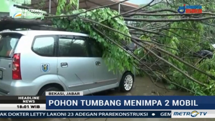 Pohon Tumbang Timpa Dua Mobil di Bekasi