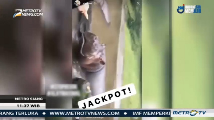 Remaja Cekoki Satwa di Taman Safari dengan Miras