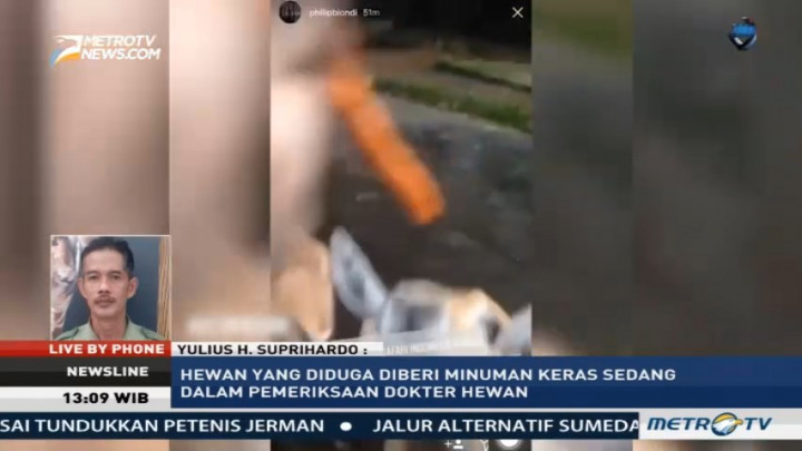 Taman Safari Laporkan Remaja yang Cekoki Hewan dengan Miras ke Polisi