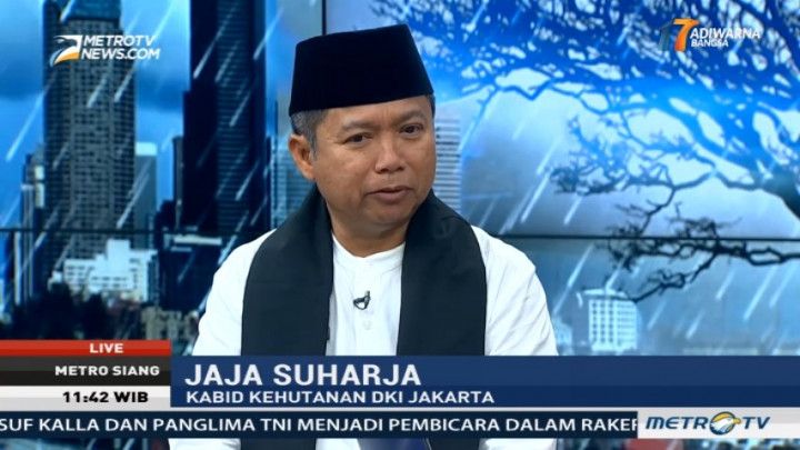 Waspada, Jaksel Rawan Pohon Tumbang