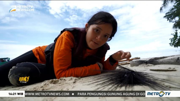 Sea Adventure Pulau Pramuka (2)