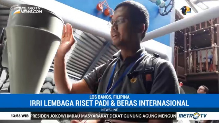 Belajar Budi Daya Padi dari Filipina