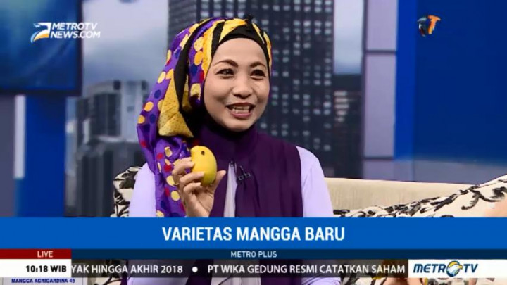 Varietas Mangga Baru (1)