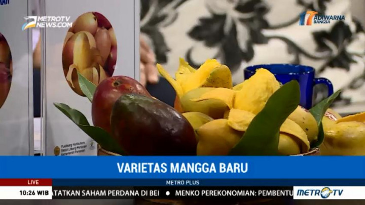 Varietas Mangga Baru (2)