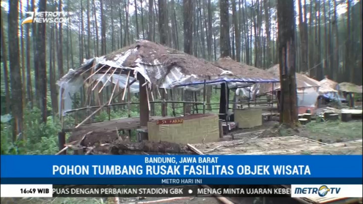 Sejumlah Objek Wisata di Lembang Rusak Terkena Pohon Tumbang
