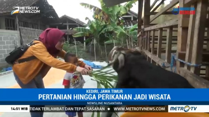 Pertanian hingga Peternakan di Kediri Jadi Daya Tarik Wisata