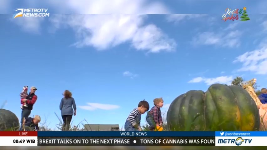 Farm and Agricultural Learning for Preschoolers