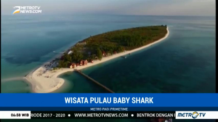 Wisata Pulau <i> Baby Shark </i>