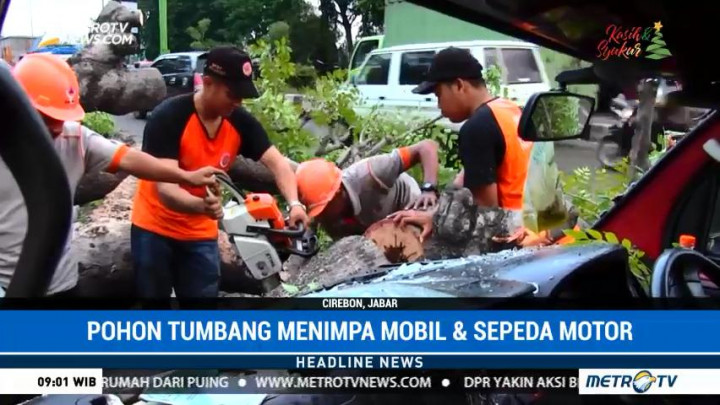 Pohon Tumbang Timpa Sejumlah Kendaraan di Cirebon