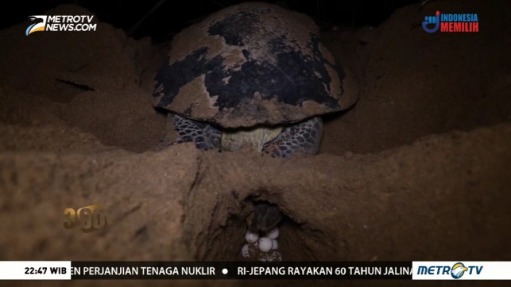 Perburuan Tanpa Batas Spesies Istimewa