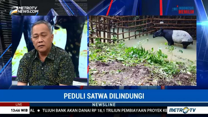 Satwa Dilindungi Terancam di Habitatnya (2)
