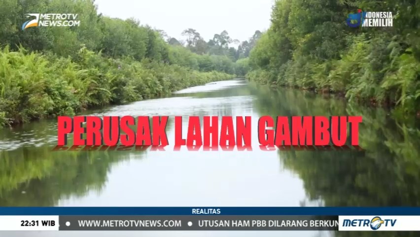 Perusak Lahan Gambut (1)