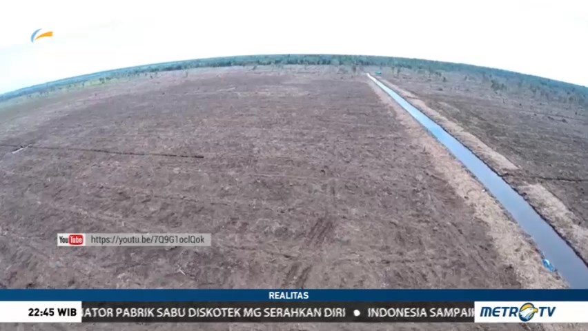 Perusak Lahan Gambut (2)