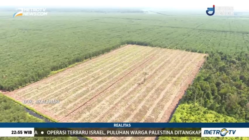 Perusak Lahan Gambut (3)