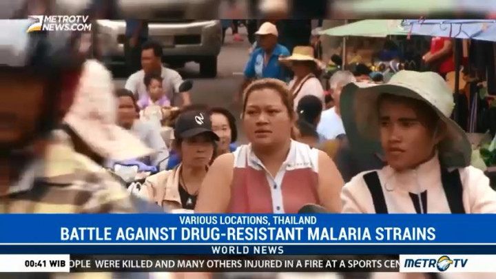 Thailand Battles Drug-Resistant Malaria Strains
