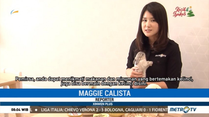 Kafe Unik Bagi Pecinta Kelinci