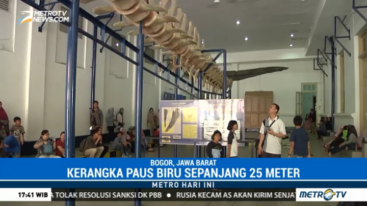 Pengunjung Museum Zoologi Meningkat 400%