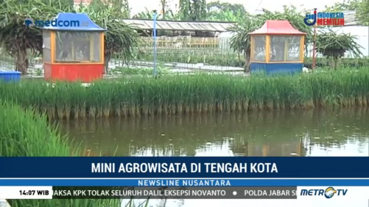 Dinas Pertanian Surabaya Bangun Mini Agrowisata Gratis