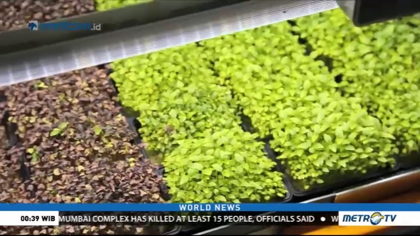 Vertical Farming, Solution for Harsh Climate