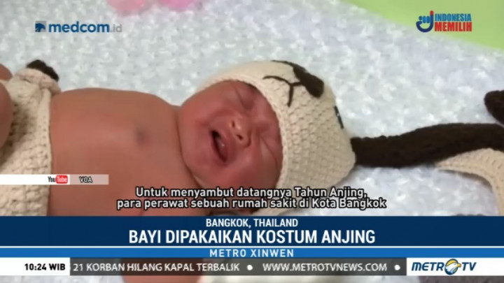 Rumah Sakit Ini Dandani Bayi dengan Kostum Anjing