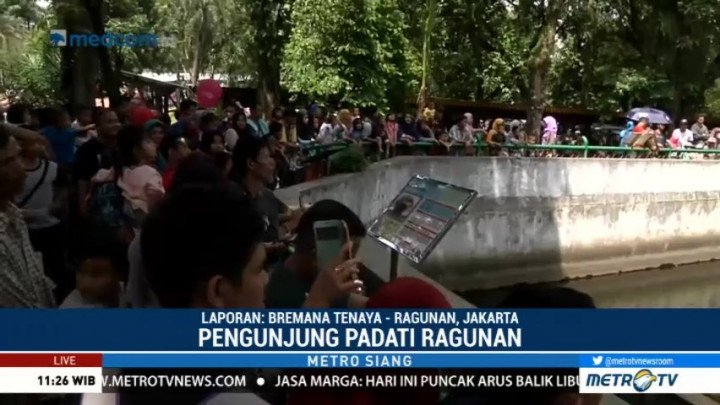 23 Ribu Wisatawan Padati Ragunan