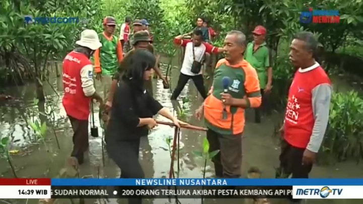 Berlibur Sambil Belajar Menanam Mangrove