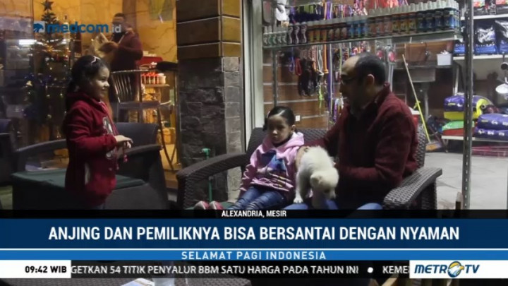 Kafe Ini Sediakan Fasilitas Bersantai Bagi Pemilik Anjing