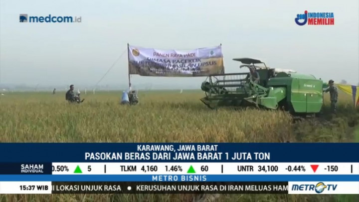 Musim Paceklik, Mentan Sidak Panen Padi di Karawang
