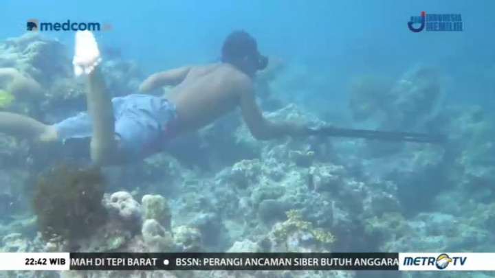 Surga Laut Suku Bajo (2)