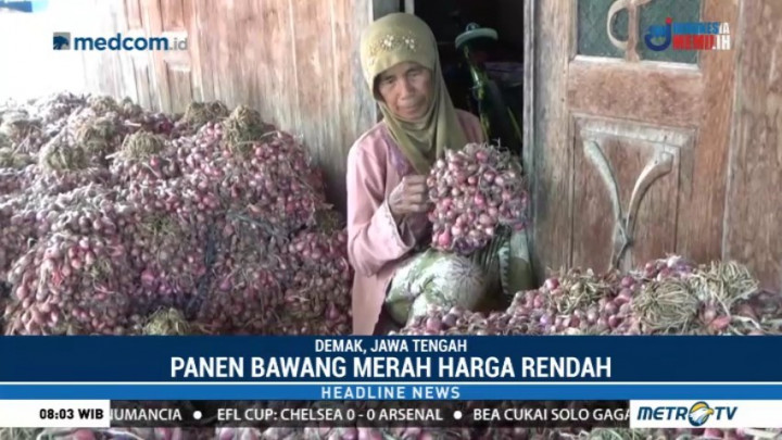 Bupati Demak Wajibkan PNS Beli Bawang Merah dari Petani