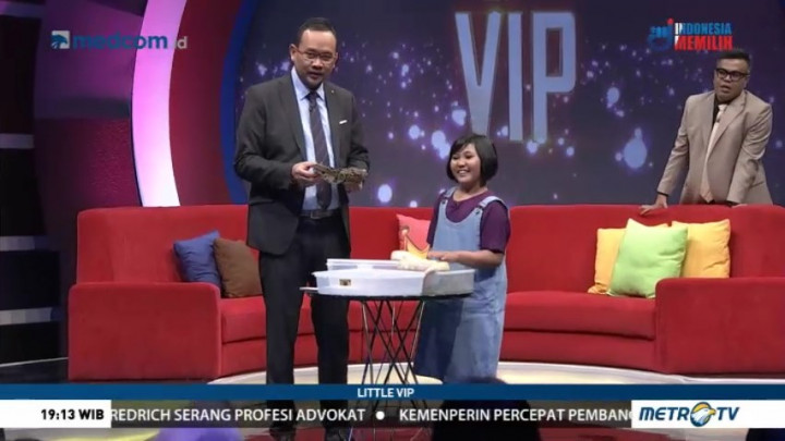 Belajar Cara Merawat dan Mencintai Reptil Bersama Rara