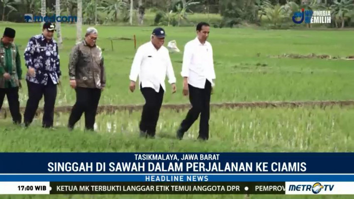 Jokowi Turun ke Sawah Saat Berkunjung ke Ciamis