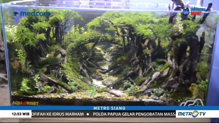 Meraup Rupiah dari Limbah Akar