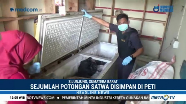 Polres Sijunjung Bongkar Perdagangan Daging Satwa Langka
