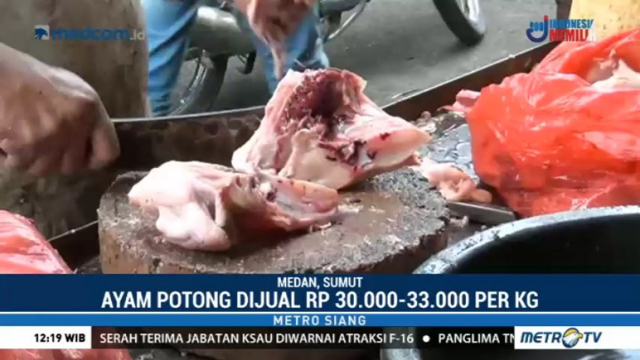 Harga Ayam Potong di Medan Naik 10 Persen